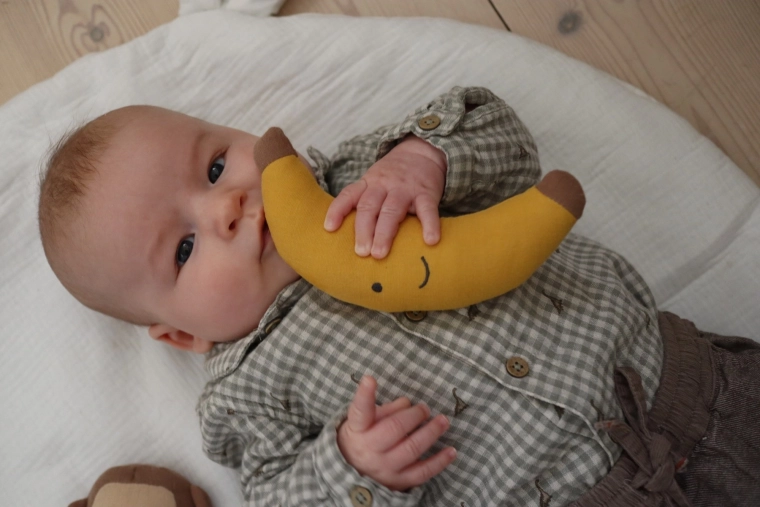 Ideel til både hjemmet og på farten