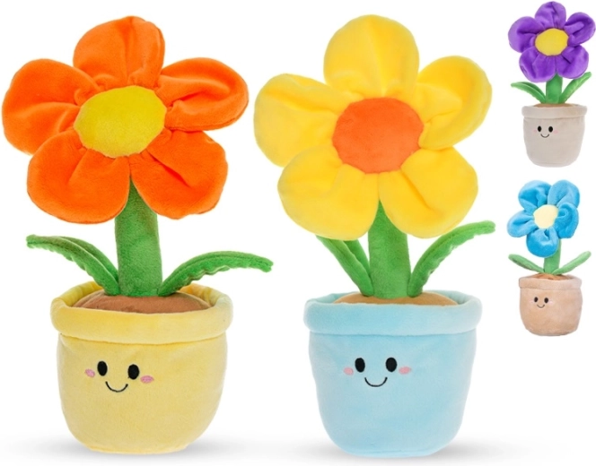 Sikker fra nyfødt (0+)