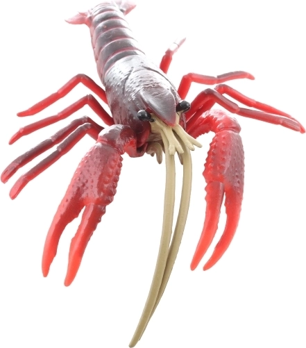 Ideel størrelse til børnehænder