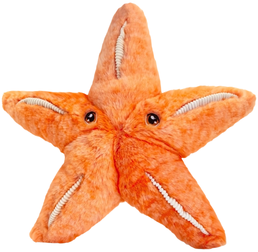 Keeleco plyssøstjerne 25 cm