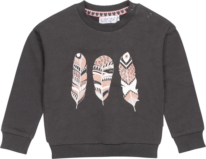 Børne-sweatshirt DIRKJE, mørkegrå, str. 86