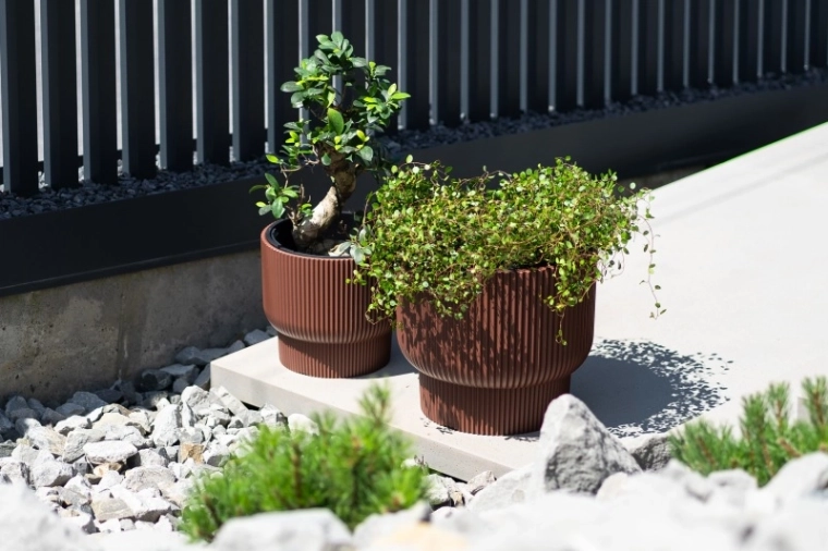 Praktisk indsats til hurtig plantning