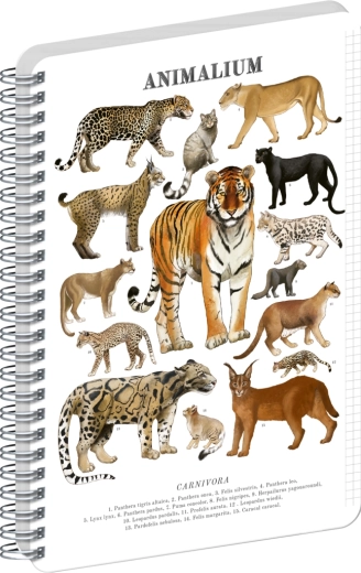 Notique spiralblok Animalium – store katte, A5, ternet