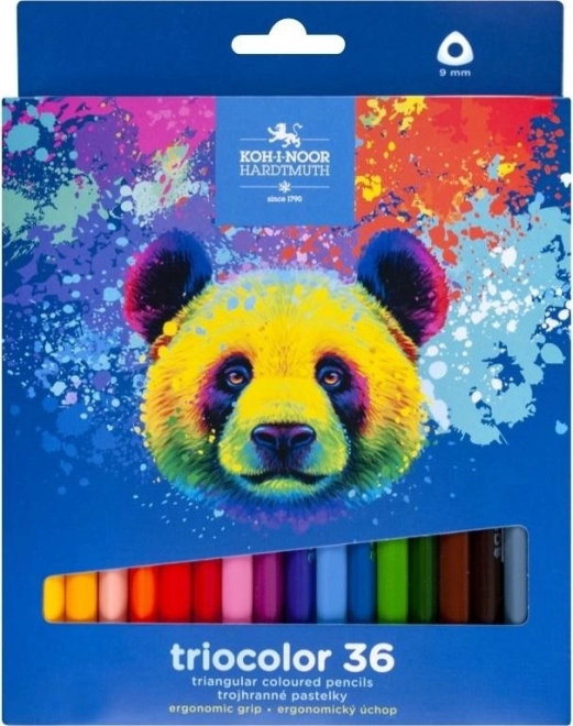 Trekantede farveblyanter KOH-I-NOOR Triocolor 12 stk. – Bjørn 36 stk.