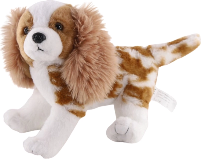 Plyshund Cavalier King Charles Spaniel 26 cm