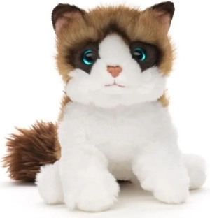 Plysset Ragdoll-kat 18 cm