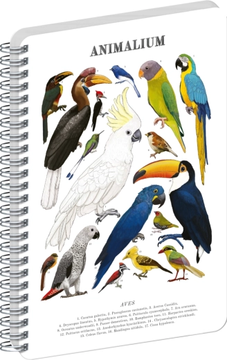 Notique spiralblok Animalium Fugle blank A5