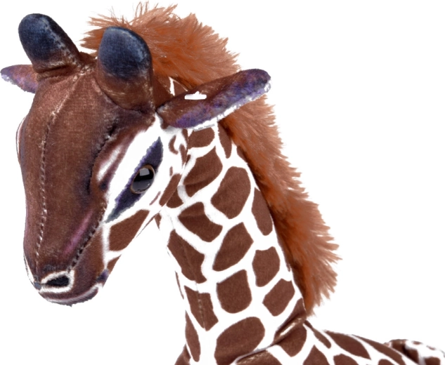 Sikre detaljer og høj kvalitet