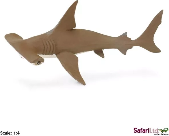 Safari Ltd. unge af bronsehaj