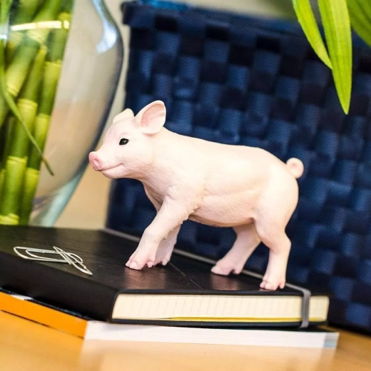 Mærket Safari Ltd. – læring gennem leg