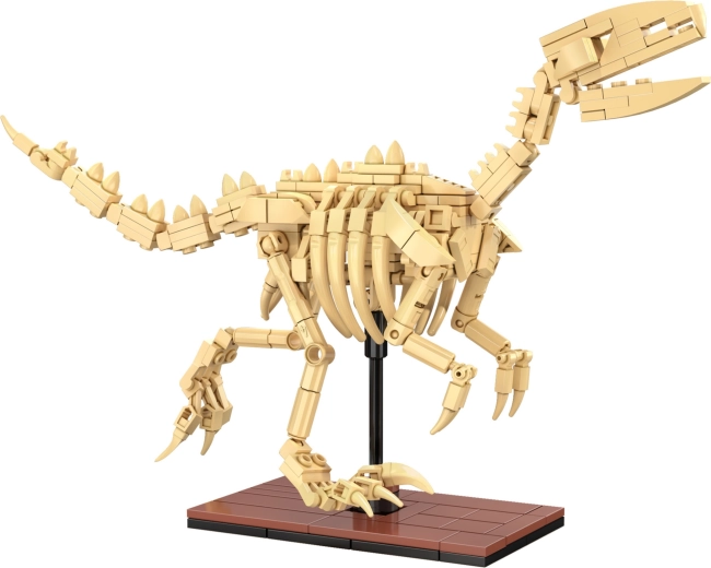 Lysende skeletter og udstillingsvenligt design