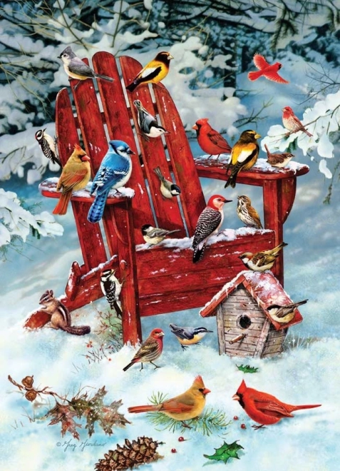 Puslespil Adirondack-fugle 1000 brikker fra Cobble Hill