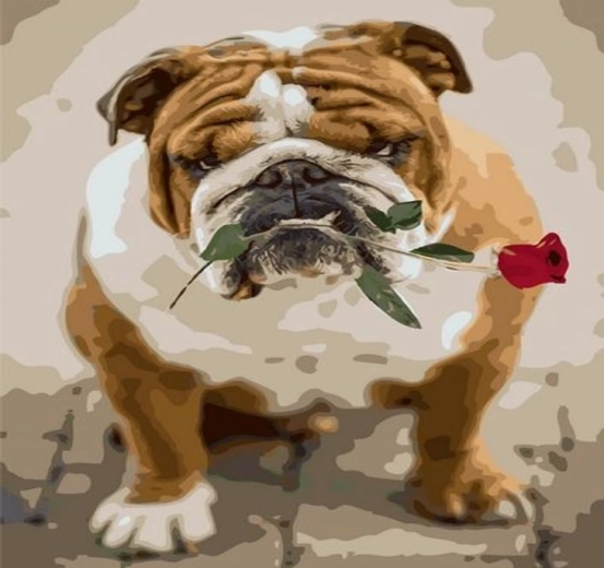 Norimpex Mal efter tal bulldog med rose 40 × 50 cm