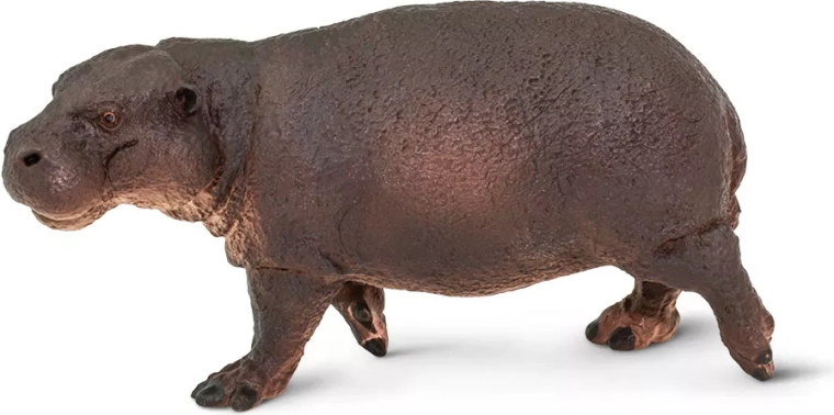 Figur af dværgflodhest Safari Ltd.