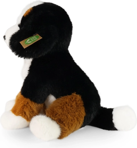 Naturtro udformning af berner sennenhunden