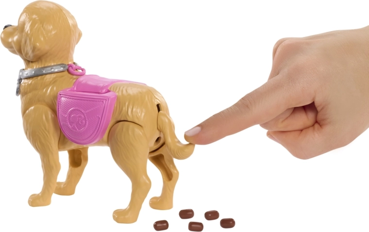 Hund på gåtur