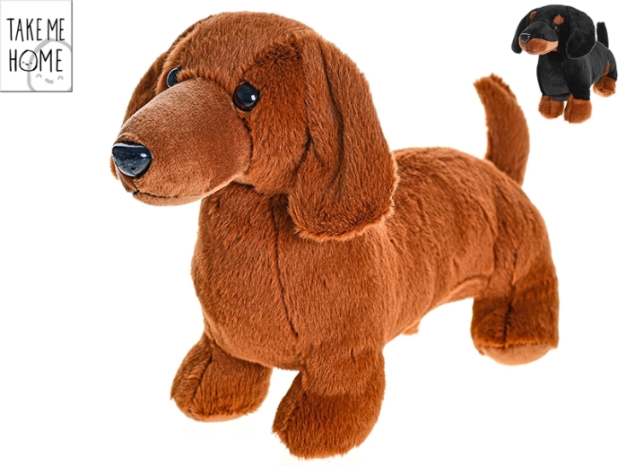 Plysdachshund 36 cm Take Me Home