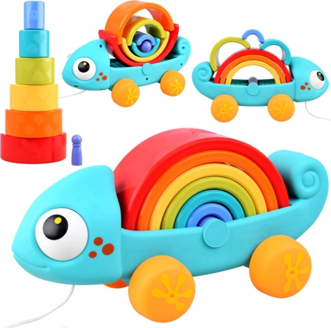 Regnbue kamæleon legetøj montessori 18m+