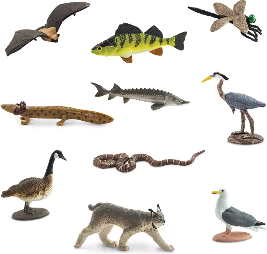 10 dyreminiaturer fra De Store Søers område