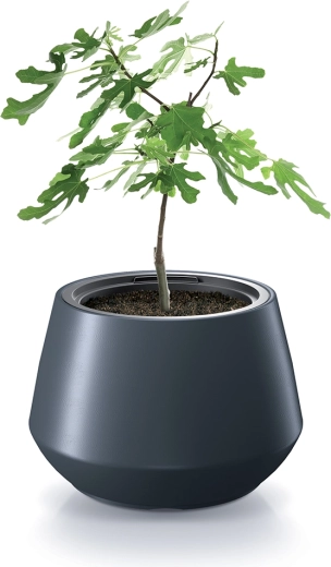 Alsidig til planter og urter