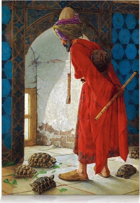 STAR puslespil skildpadde-træner – 1000 brikker