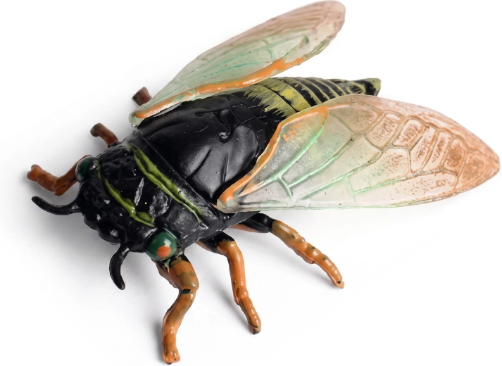 Plastcikade 6 cm