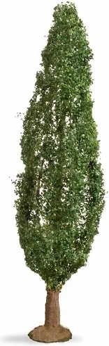 Noch poppel (Master Tree) 18 cm