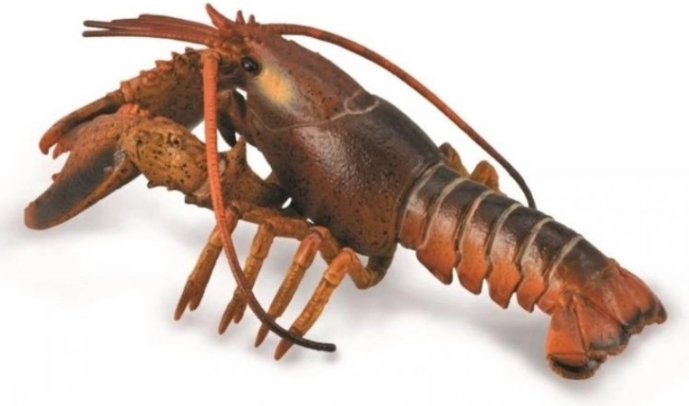 Collecta hummer – realistisk uddannelsesfigur