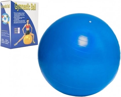 Gymnastikbold 65 cm til træning og genoptræning