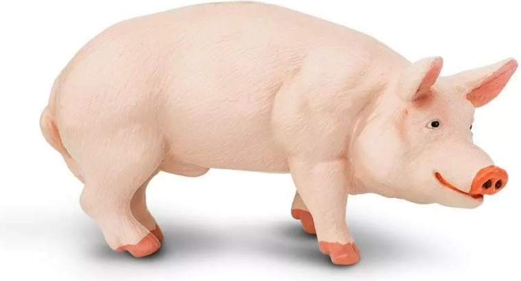 Figur af pattegris (tamgris) Safari Ltd.