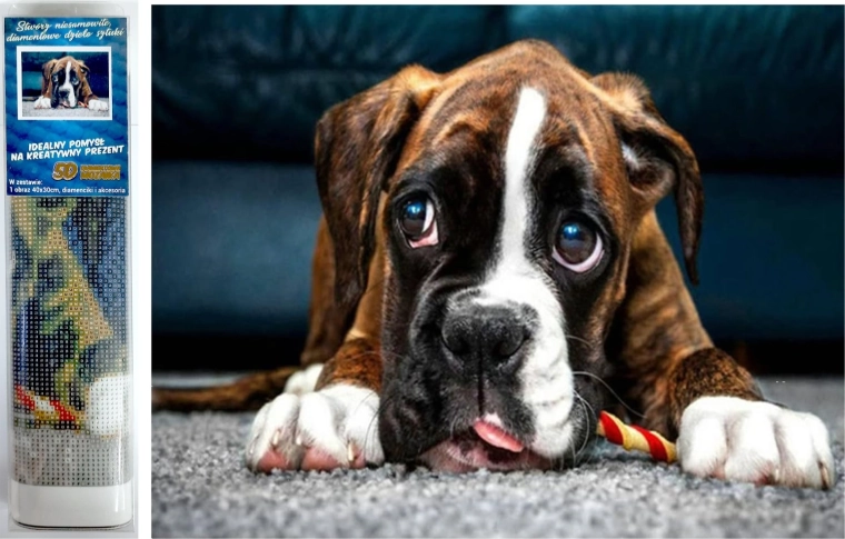 Diamantmosaik - Boxerhund