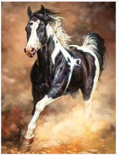 Norimpex Mal efter tal hest, der galopperer i sandet 40 × 50 cm