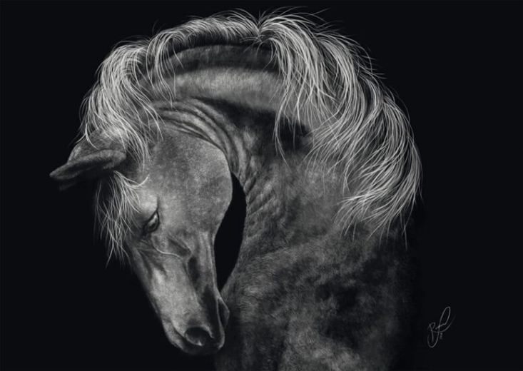 Puslespil Hestens styrke 1000 brikker