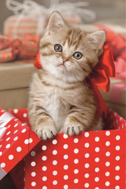 Puslespil TREFL sødt killing 54 brikker