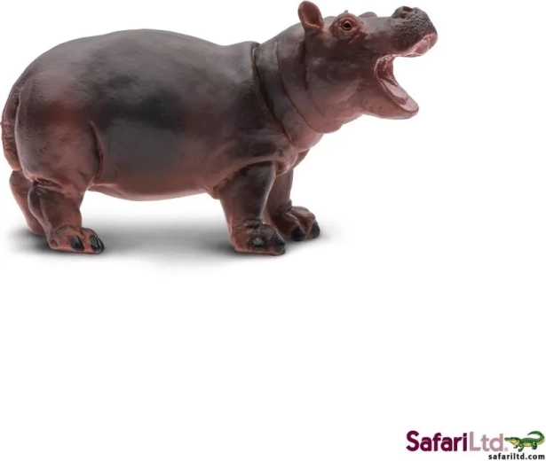 Flodhesteunge Safari Ltd. - 1 stk.