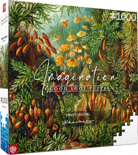 Puzzle Imagination: Ernst Haeckel - Muscinae 1000 brikker