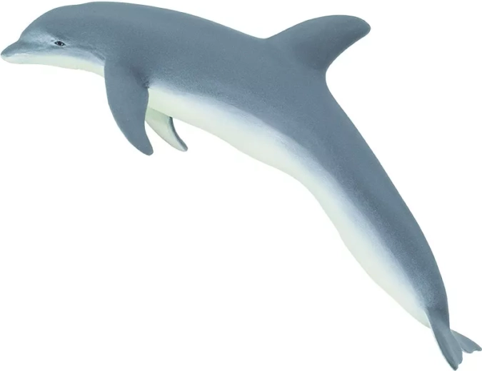 Springende delfin Safari Ltd.