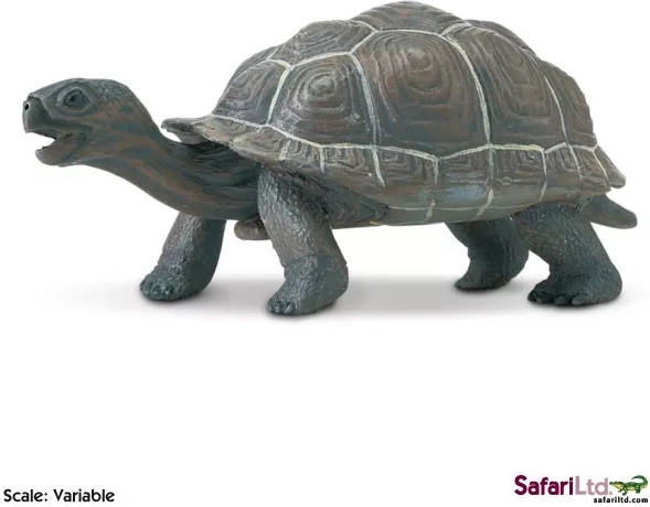 Safari Ltd. unge galapagosskildpadde figur - 1 stk.