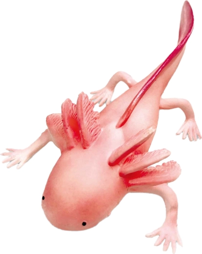 Gummi-axolotl 19 cm