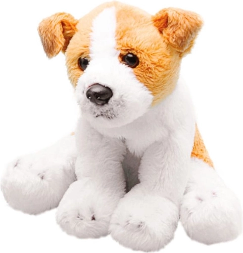 Plys hund Jack Russell af premium plys