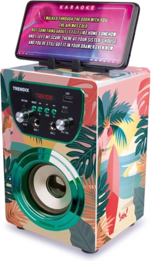 Bluetooth-tilslutning og karaoke fra mobilen