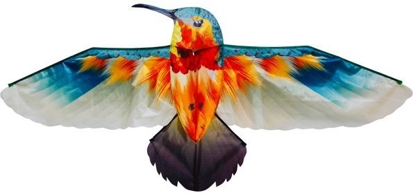 Drage Kolibri