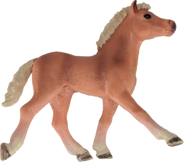 Tre attraktive varianter