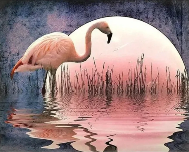 Norimpex Mal efter tal Flamingo 40 × 50 cm