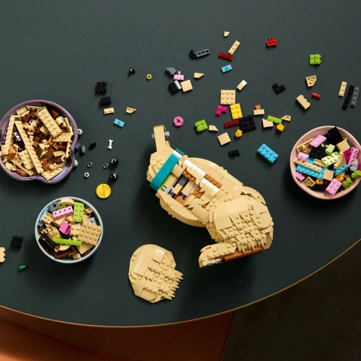 Sjov byggeproces med 3D-vejledning