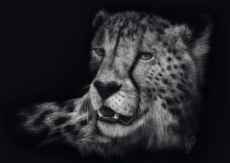 Puslespil Gepardens hastighed 1000 brikker SCHMIDT