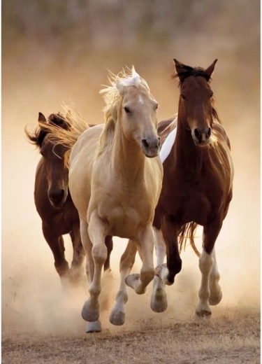 Diamantmaling – heste i fuld galop 30 × 40 cm - 1 stk.