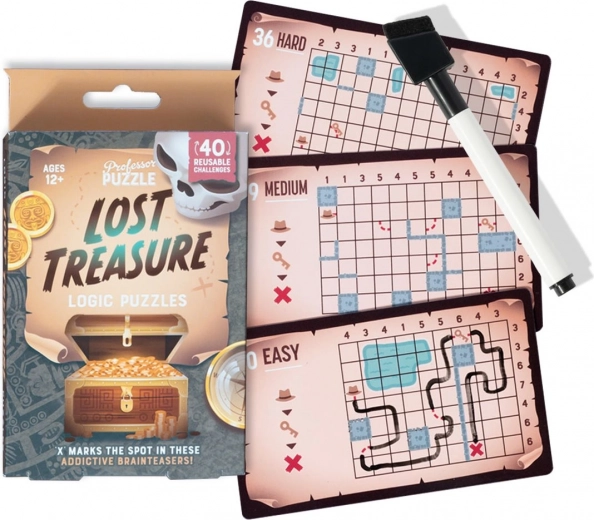 Professor Puzzle logikspil Lost Treasure – rejse-gådesæt