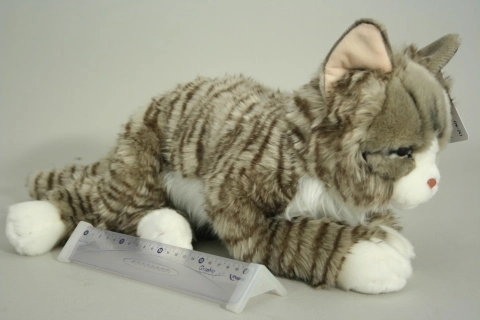 Plys kat 37 cm