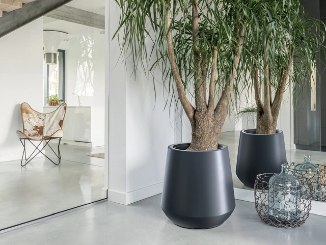 Moderne look til nutidige interiører
